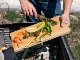 food-waste-journey-in-restaurants-applova