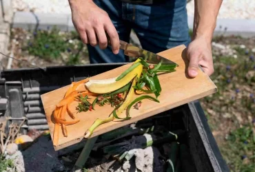 food-waste-journey-in-restaurants-applova