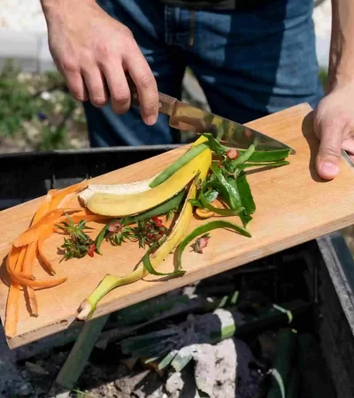 food-waste-journey-in-restaurants-applova