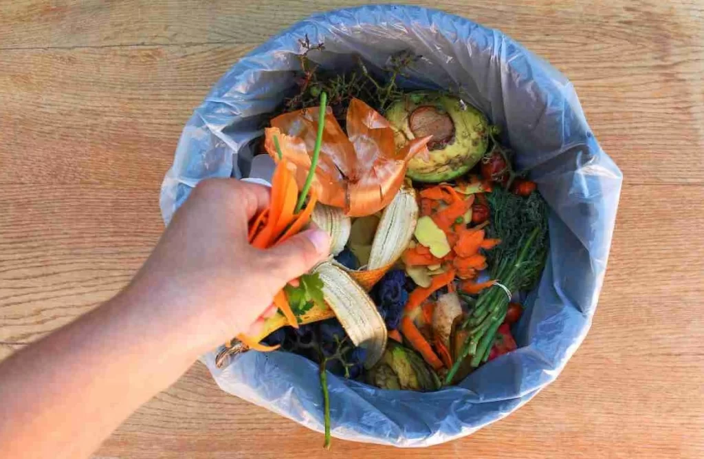 Sustainable Restaurant - Composting Kitchen Waste