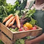 Sustainable Restaurant - Applova