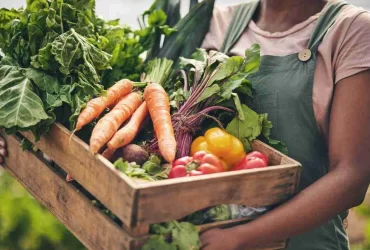 Sustainable Restaurant - Applova